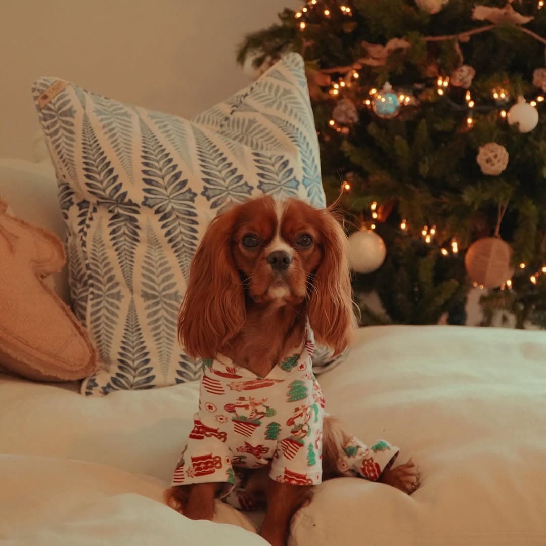 Isaiah Francois arthur photo.