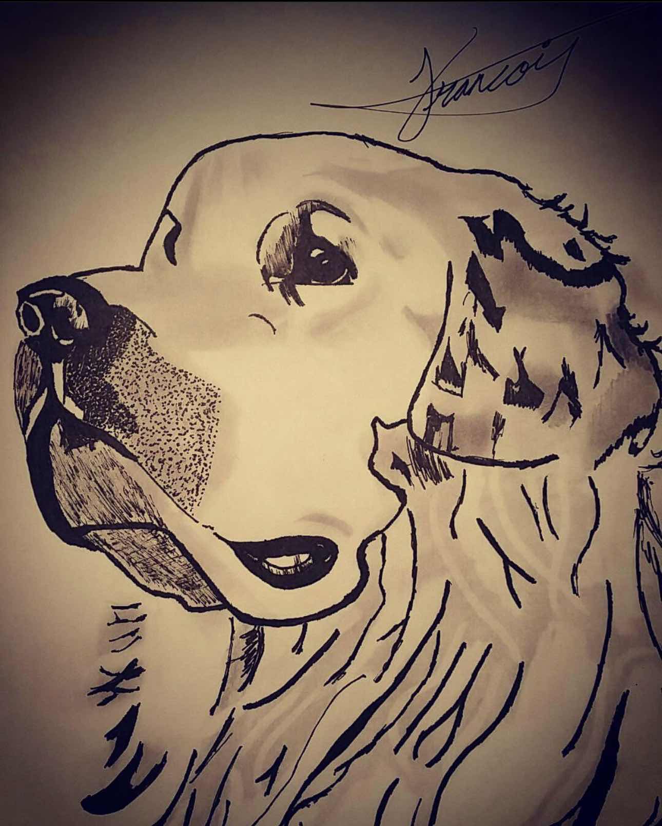 Isaiah Francois drawing photo.