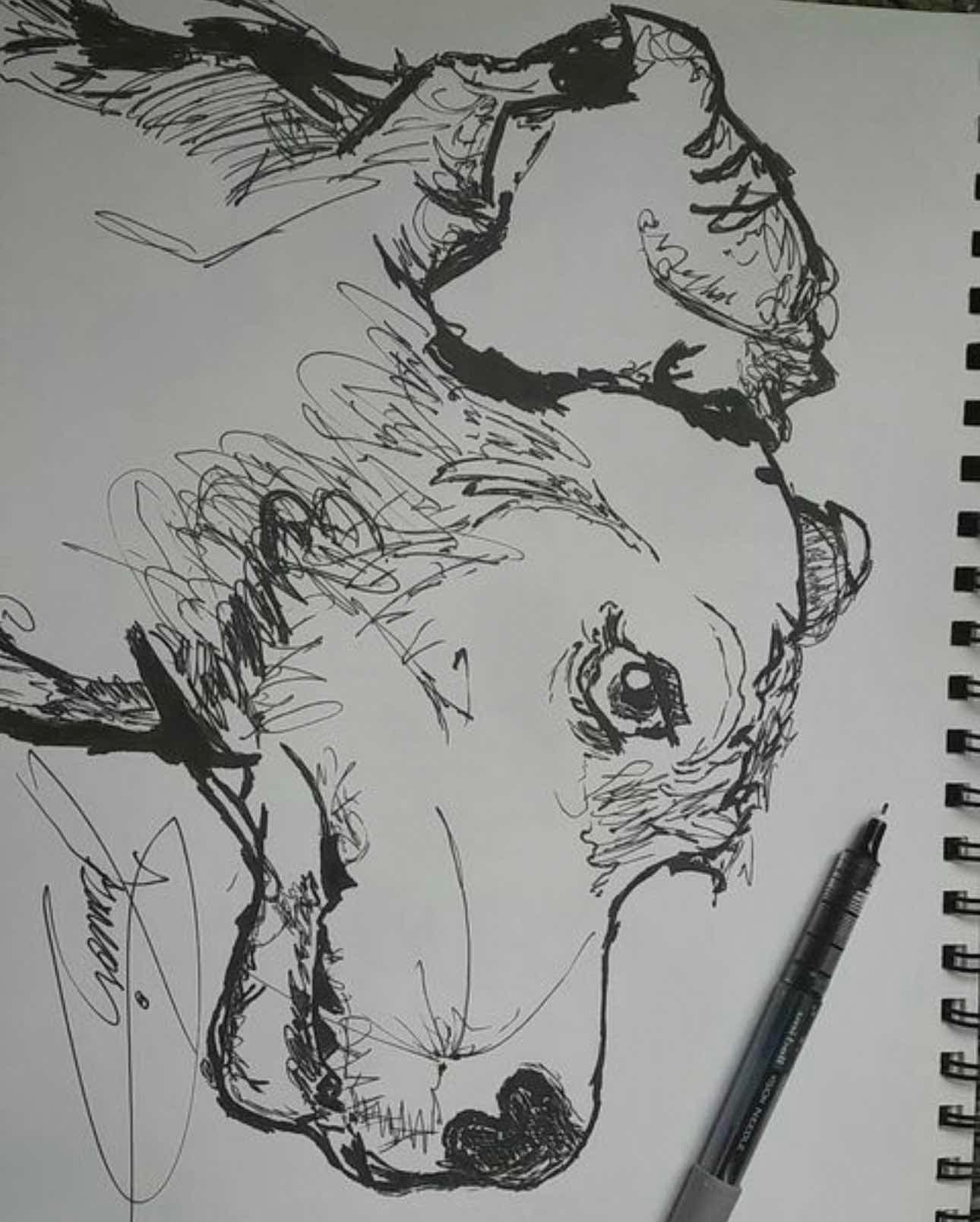 Isaiah Francois drawing photo.