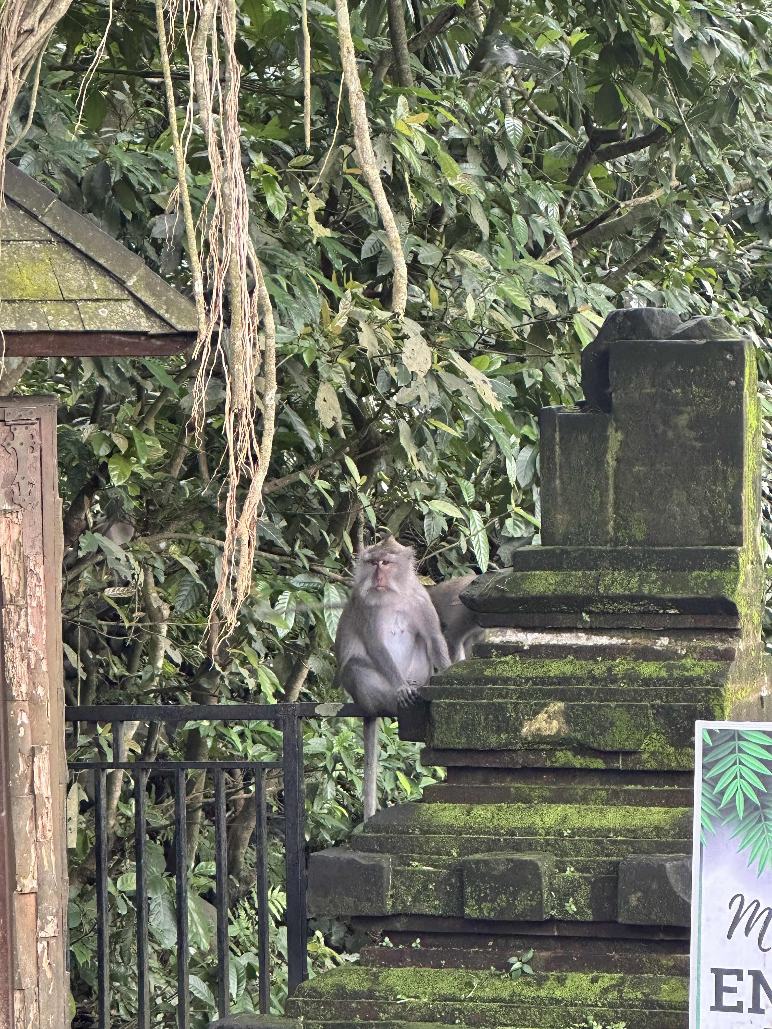 Isaiah Francois travel photo.